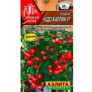 Томат Чудо карлик 10 шт, Семена Аэлита