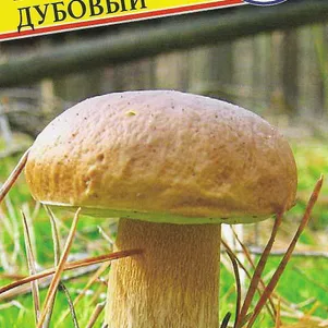 Белый гриб дубовый 50 мл Семена Престиж 146₽