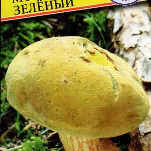 Моховик зеленый 60 мл Семена Престиж 146₽