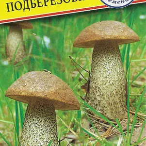 Подберёзовик 50 мл Семена Престиж 146₽