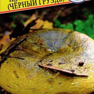 Чернушка Черный груздь 60 мл Семена Престиж 146₽