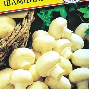 Шампиньон белый 50 мл Семена Престиж 120₽