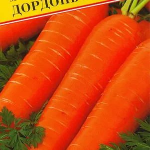 Морковь Дордонь F1 на ленте 6 м Семена Престиж 66₽