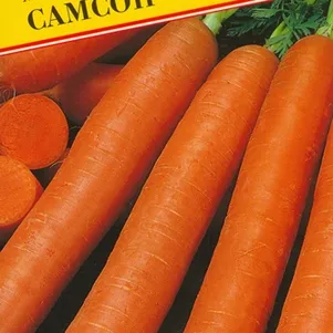 Морковь Самсон на ленте 6 м, Семена Престиж