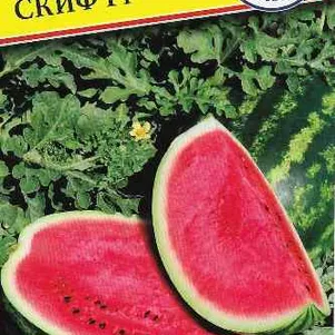 Арбуз Скиф F1 3 шт Семена Престиж 67₽