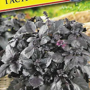 Базилик Гастроном 05 г Семена Престиж 30₽