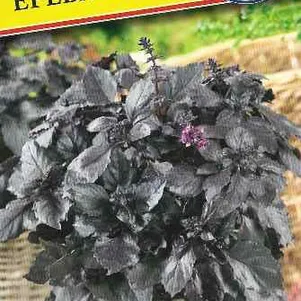 Базилик Ереванский 05 г Семена Престиж 21₽