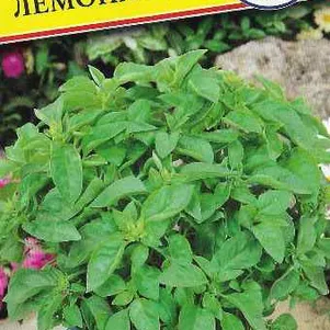 Базилик Лемона 05 г Семена Престиж 46₽