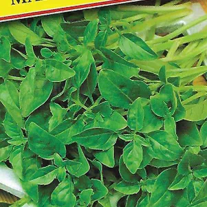 Базилик Мариан 05 г Семена Престиж 40₽