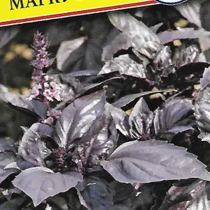 Базилик Маркус 05 г Семена Престиж 34₽