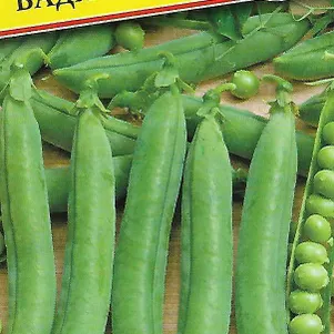 Горох Вада 4 г Семена Престиж 24₽