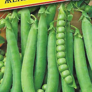 Горох Женева 4 г Семена Престиж 24₽