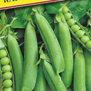 Горох Карина 4 г Семена Престиж 24₽