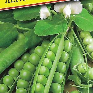 Горох Легаси 4 г Семена Престиж 26₽