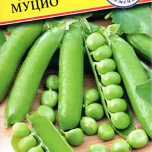 Горох Муцио 4 г Семена Престиж 26₽