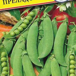 Горох Преладо 4 г Семена Престиж 28₽
