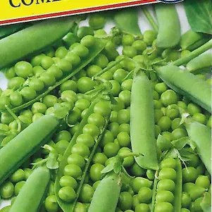 Горох Сомервуд F1 4 г Семена Престиж 24₽