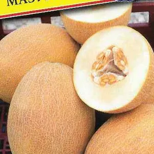 Дыня Мазурка F1 3 шт Семена Престиж 55₽