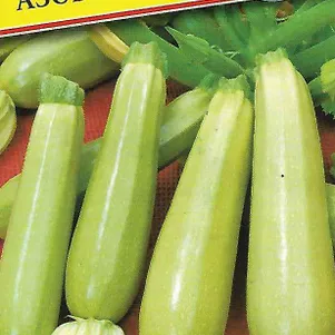 Кабачок Азов F1 5 шт Семена Престиж 81₽