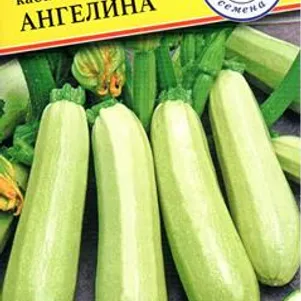 Кабачок Ангелина F1 5 шт Семена Престиж 110₽