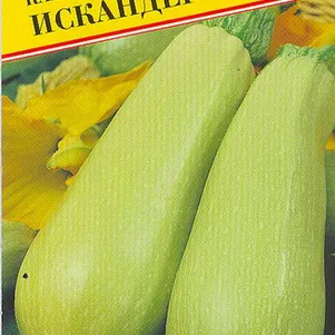 Кабачок Искандер F1 5 шт Семена Престиж 82₽