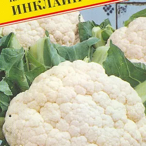 Цветная капуста Инклайн F1 10 шт Семена Престиж 72₽