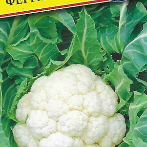 Цветная капуста Феррара F1 10 шт Семена Престиж 84₽