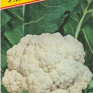 Цветная капуста Уайтэксел F1 10 шт Семена Престиж 72₽