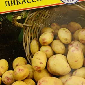 Картофель Пикассо 0,05 г, Семена Престиж