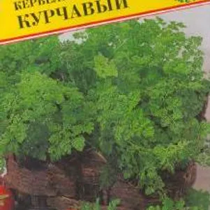 

Кервель курчавый 0,5 г, Семена Престиж
