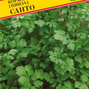 Кинза Кориандр Санто 1 г Семена Престиж 24₽