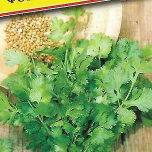 Кинза Кориандр Формула 1 г Семена Престиж 19₽