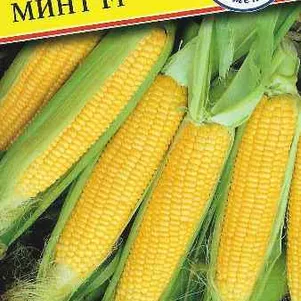 Кукуруза Минт сладкая F1 10 шт Престиж 46₽