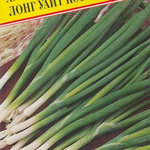 

Лук Батун Лонг Уайт Кошигая 0,5 г, Семена Престиж