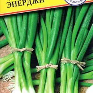 Лук Батун Энерджи 0,5 г, Семена Престиж