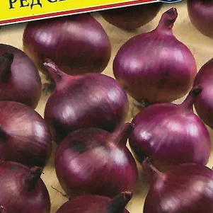 Лук Ред Свит F1 репчатый 05 г Семена Престиж 54₽