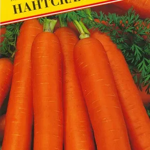 Морковь Нантская 4 1 г Семена Престиж 21₽