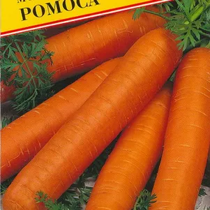 Морковь Ромоса 1 г Семена Престиж 49₽