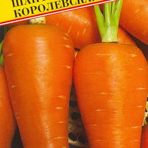 Морковь Шантенэ Королевская 1 г Семена Престиж 21₽