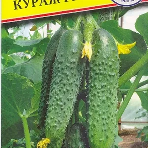 Огурец Кураж F1 5 шт Семена Престиж 72₽