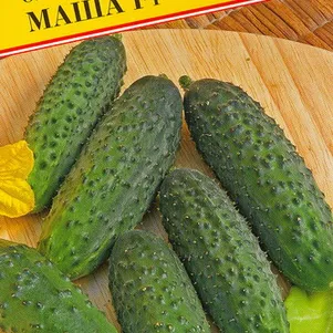 Огурец Маша F1 5 шт Престиж 66₽
