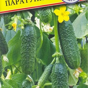 Огурец Паратунка F1 5 шт Семена Престиж 112₽