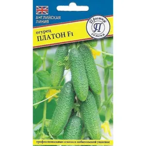 Огурец Платон F1 5 шт Семена Престиж 58₽