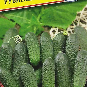 Огурец Рубинштейн F1 5 шт Семена Престиж 57₽