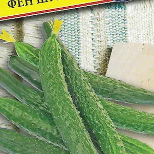 Огурец Фен Шуй F1 5 шт Семена Престиж 66₽
