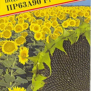 Подсолнечник ПР63А90 F1 15 шт Престиж 21₽