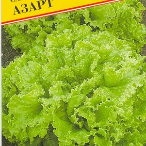 Салат Азарт 05 г Семена Престиж 21₽