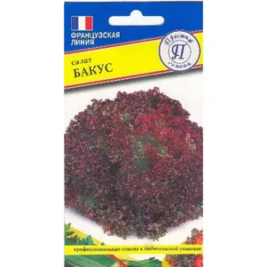 Салат Бакус 5 шт Семена Престиж 38₽