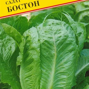 Салат Бостон 05 г Семена Престиж 21₽