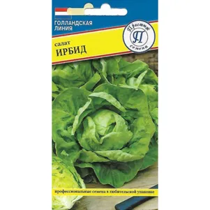 Салат Ирбид 10 шт Семена Престиж 23₽